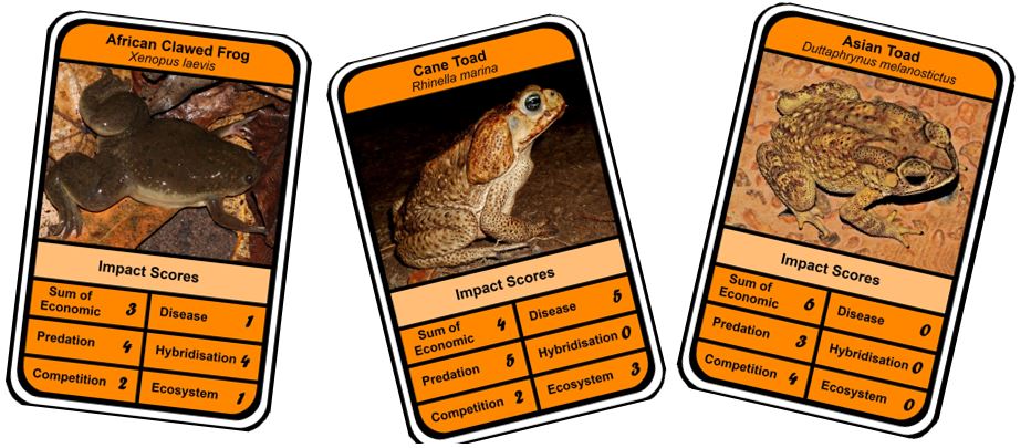 How well do alien amphibian assessments match?